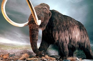 mammut1